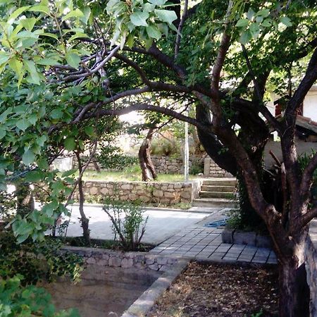Apartman "Tartaruga" Lukovo Exteriér fotografie